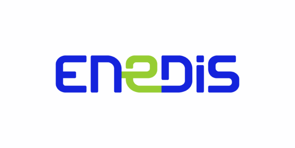 Enedis Logotype Fondclair Rvb Exe (003)